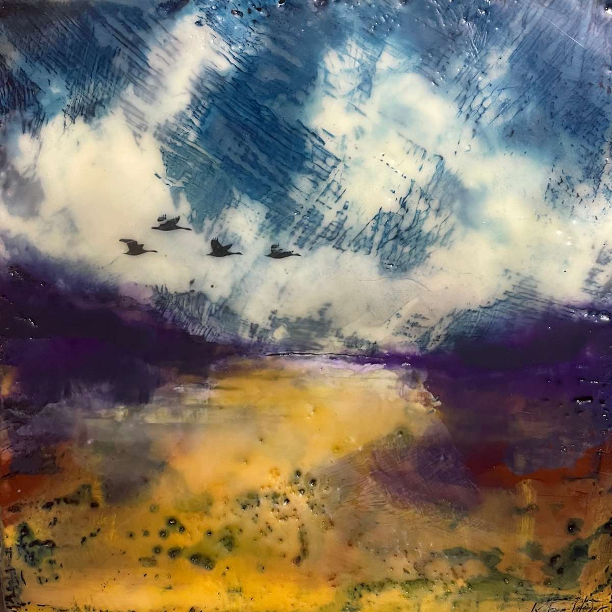 Hazy field by Karen Faller 