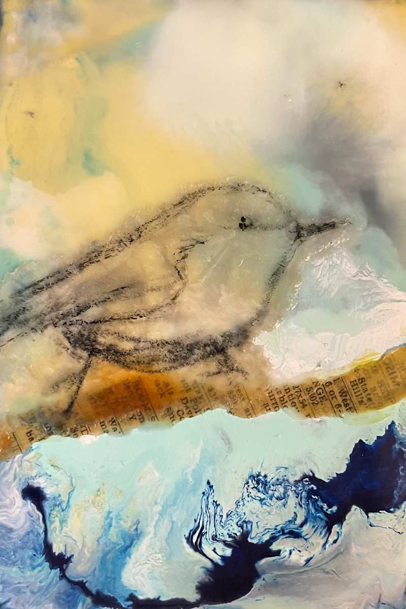 Searching for a home by Karen Faller 