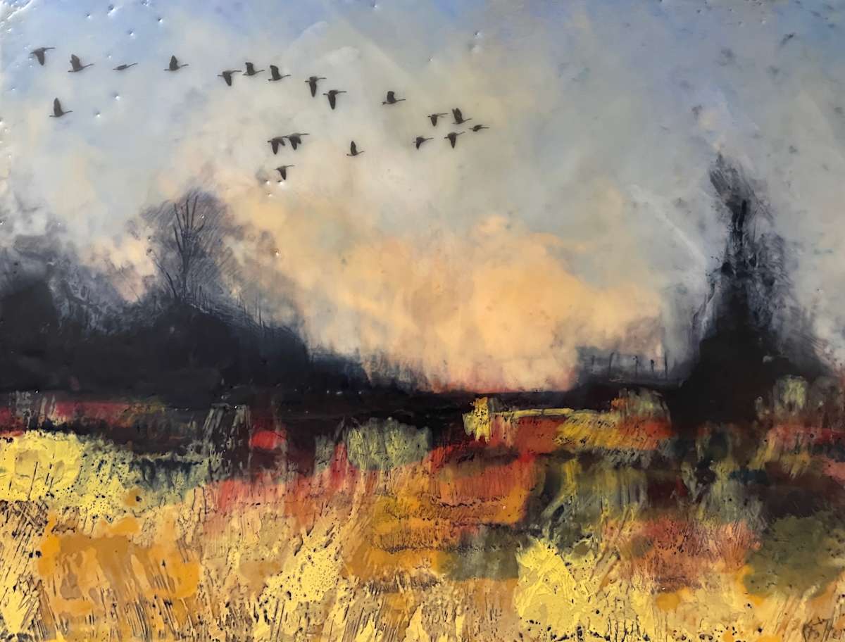 Fiery fields by Karen Faller 