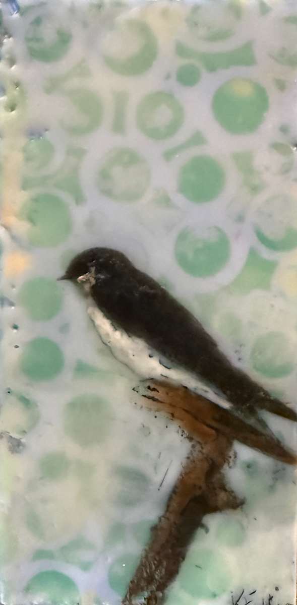 Tree Swallow by Karen Faller, Image 1.