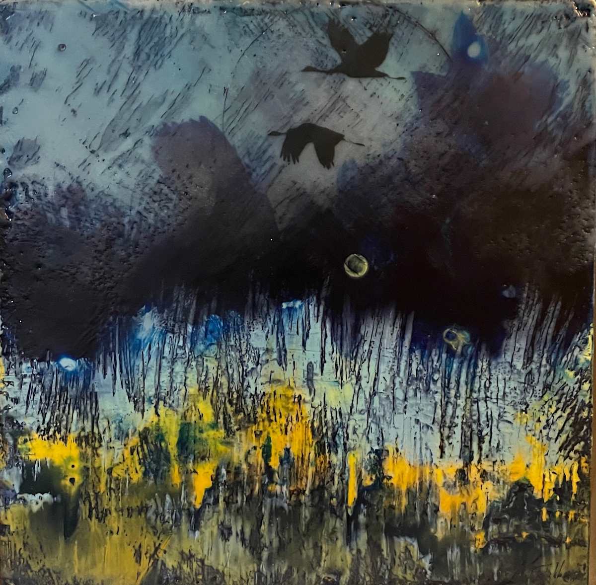 Night-time flyby by Karen Faller 