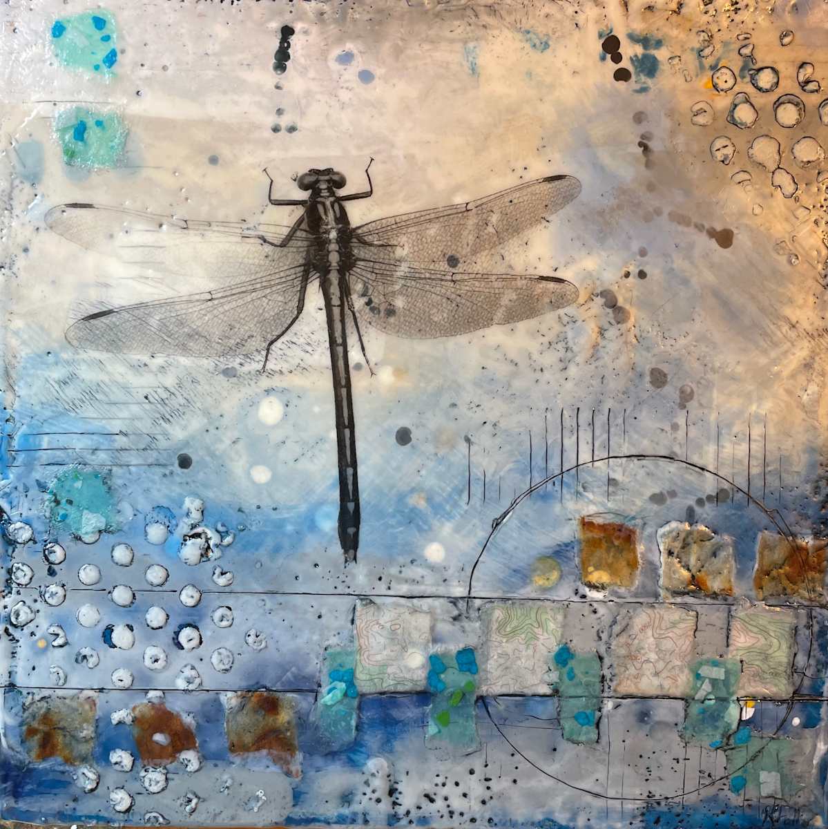 Pond Experiments by Karen Faller, Image 1.