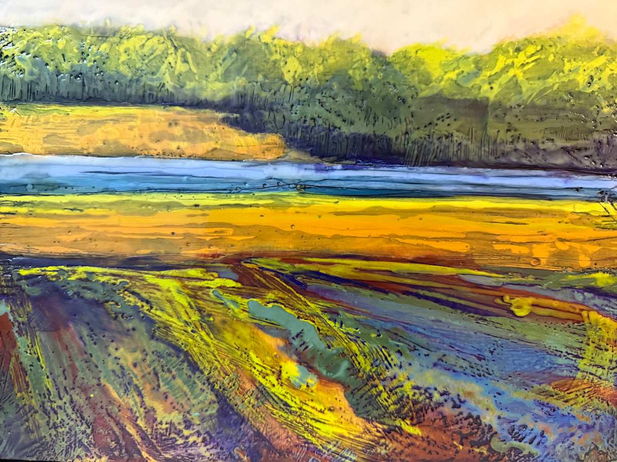 Star crossed fields by Karen Faller, Image 1.