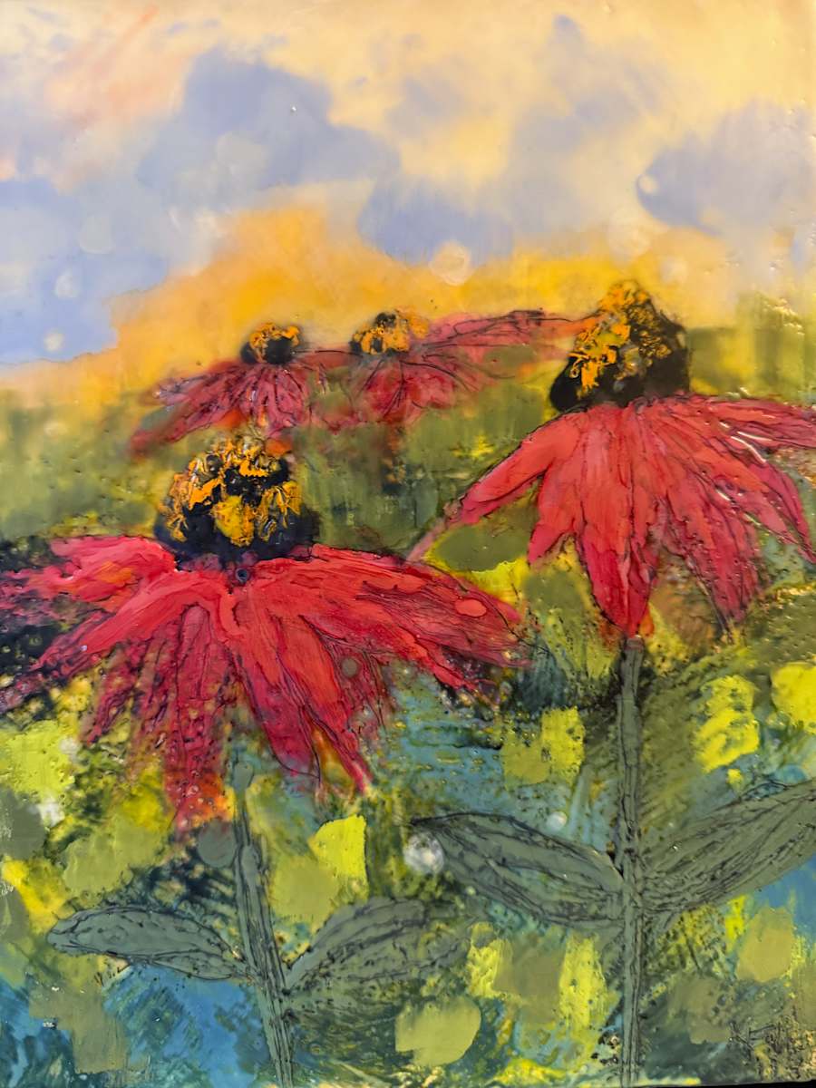 Untitled Echinacea by Karen Faller 