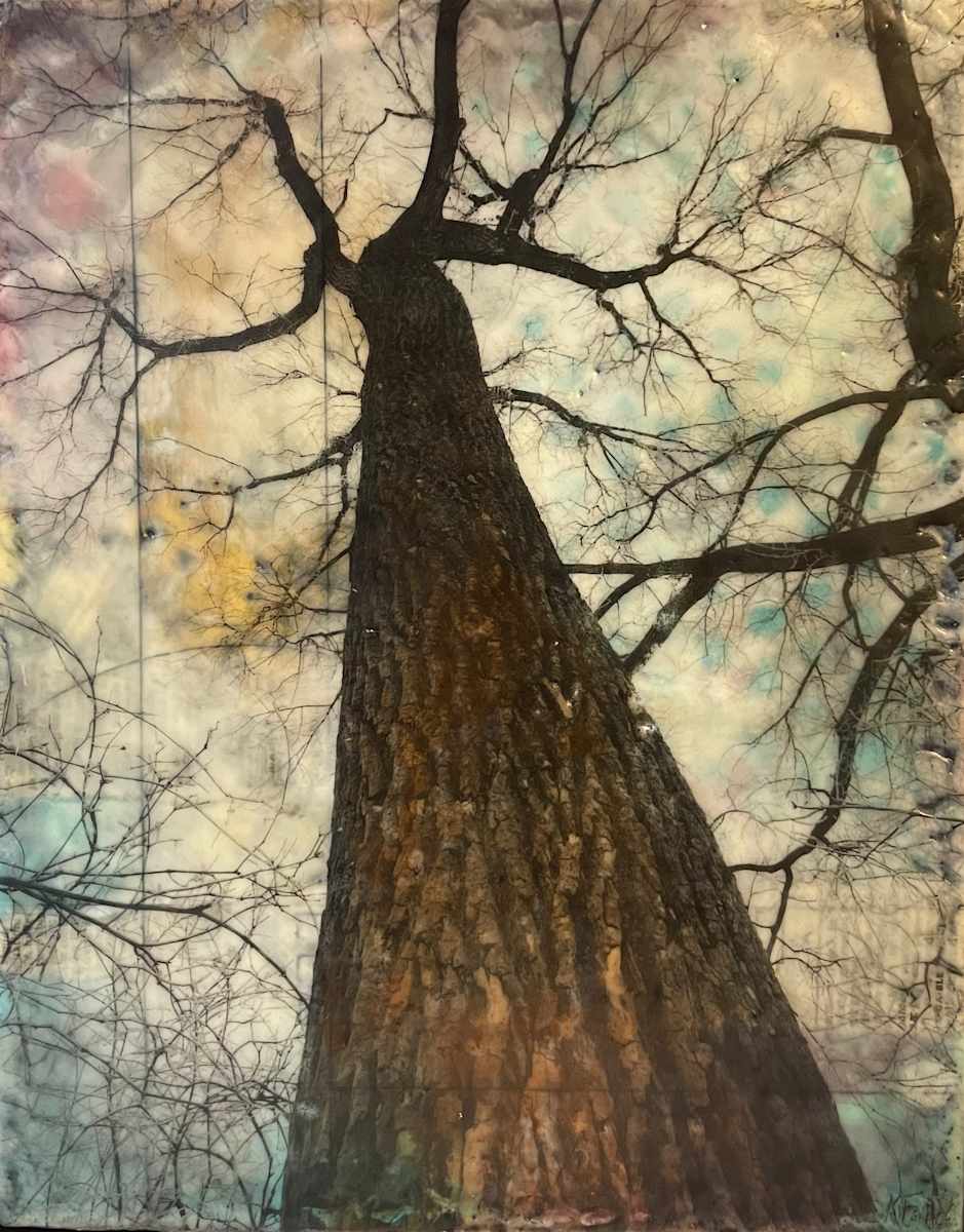 Up the oak by Karen Faller 