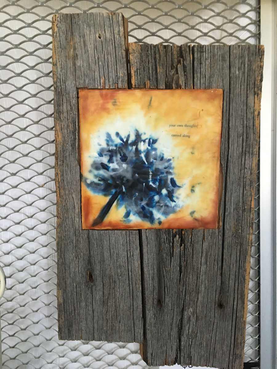 Carried along by Karen Faller 