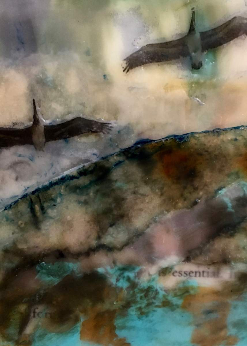 Essential by Karen Faller, Image 1.