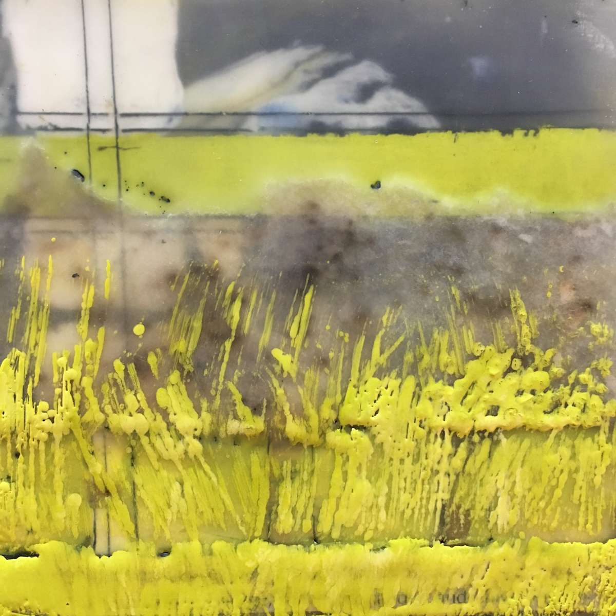 Green Fields by Karen Faller 