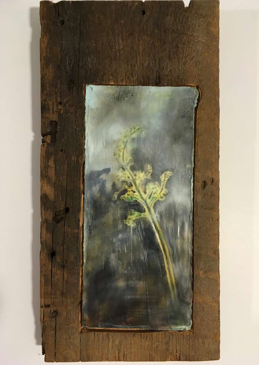 Stems by Karen Faller 