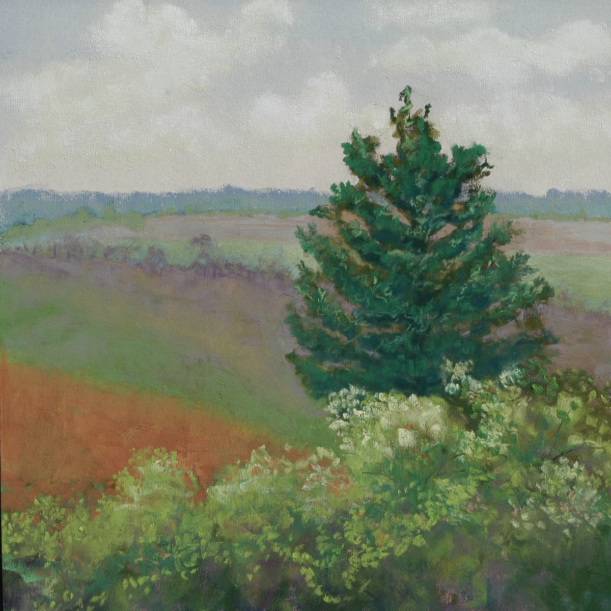 Augusta Bottoms by Lorraine McFarland, Image 1.