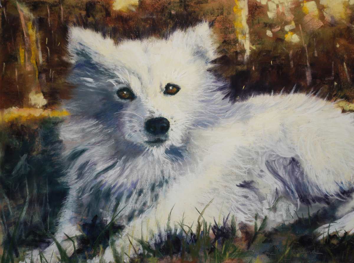 Bachelor Dog by Lorraine McFarland, Image 1.