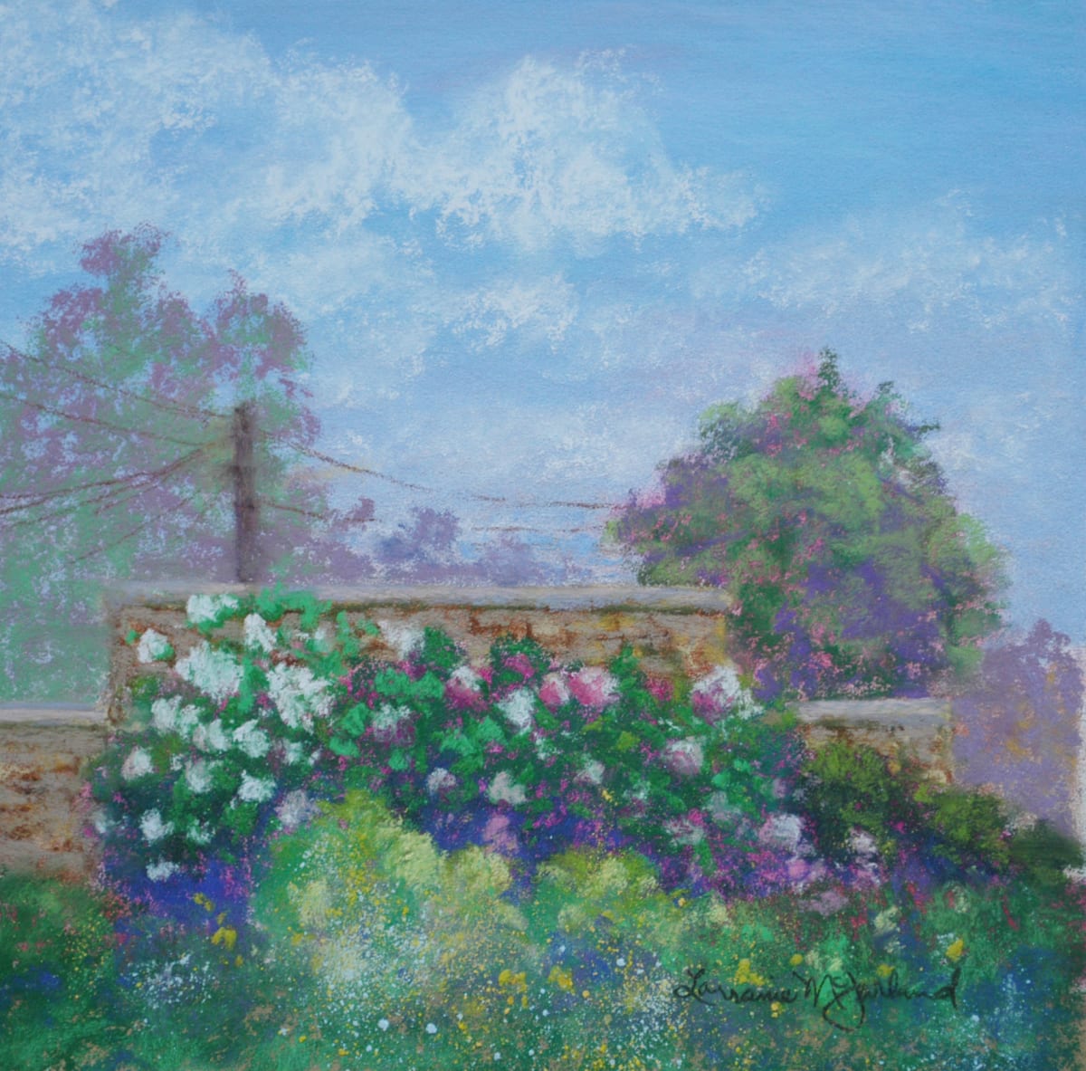 Hyndrangeas on 6th by Lorraine McFarland, Image 1.