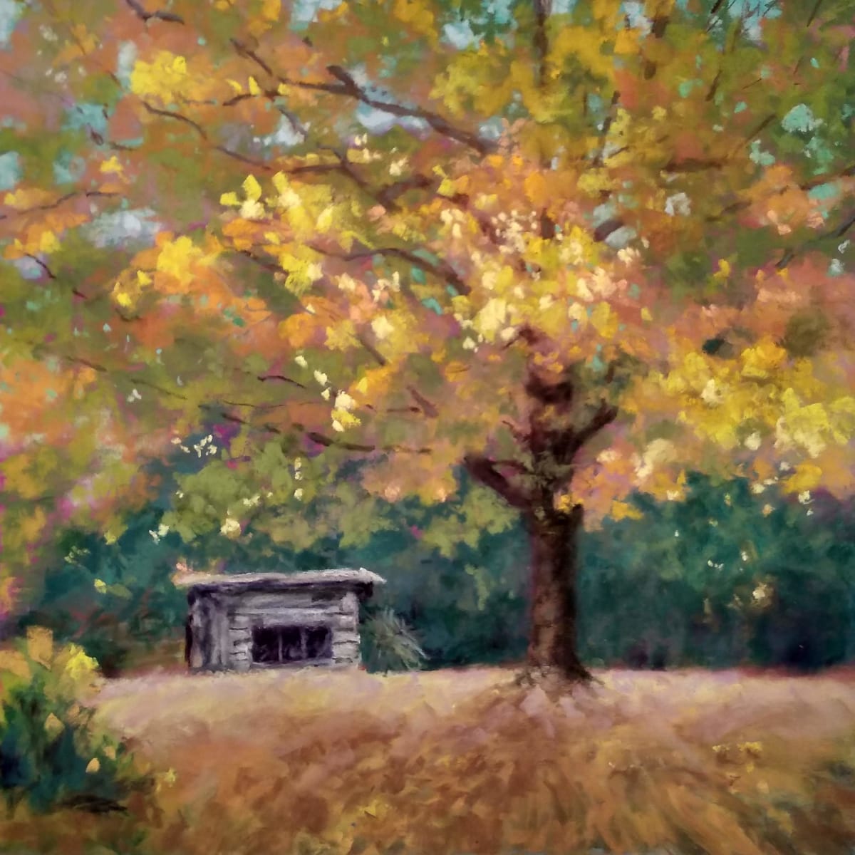 Maple Tree and Chicken House by Lorraine McFarland 