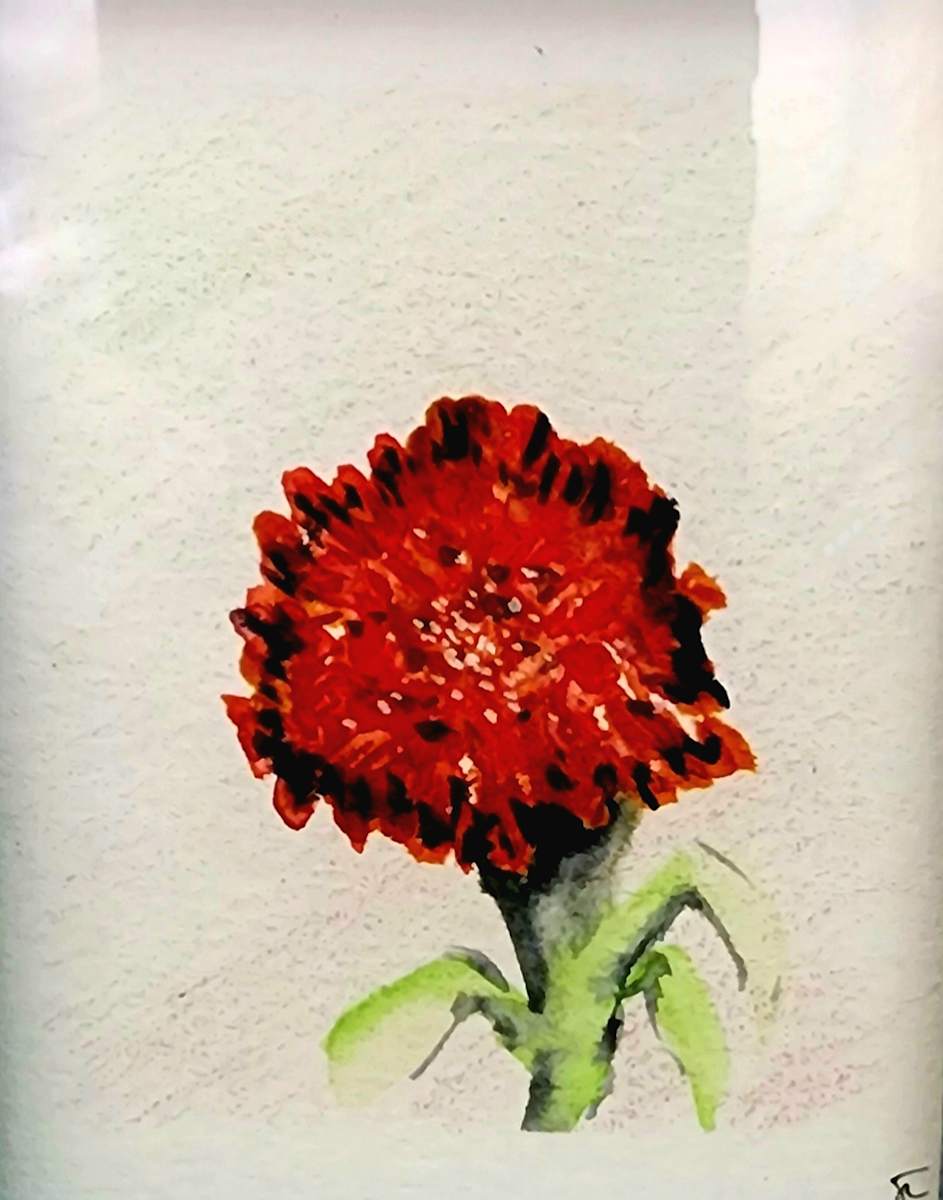 flower by Jon Cooper 