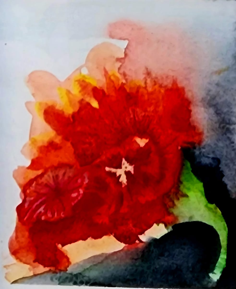 flower by Jon Cooper 