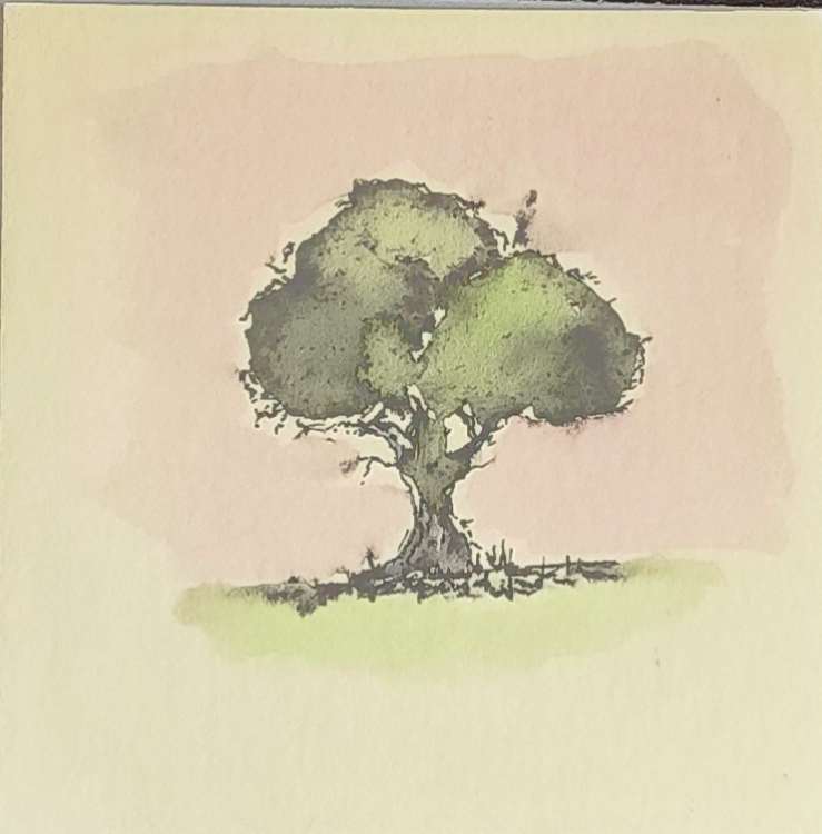 untitled by Jon Cooper 