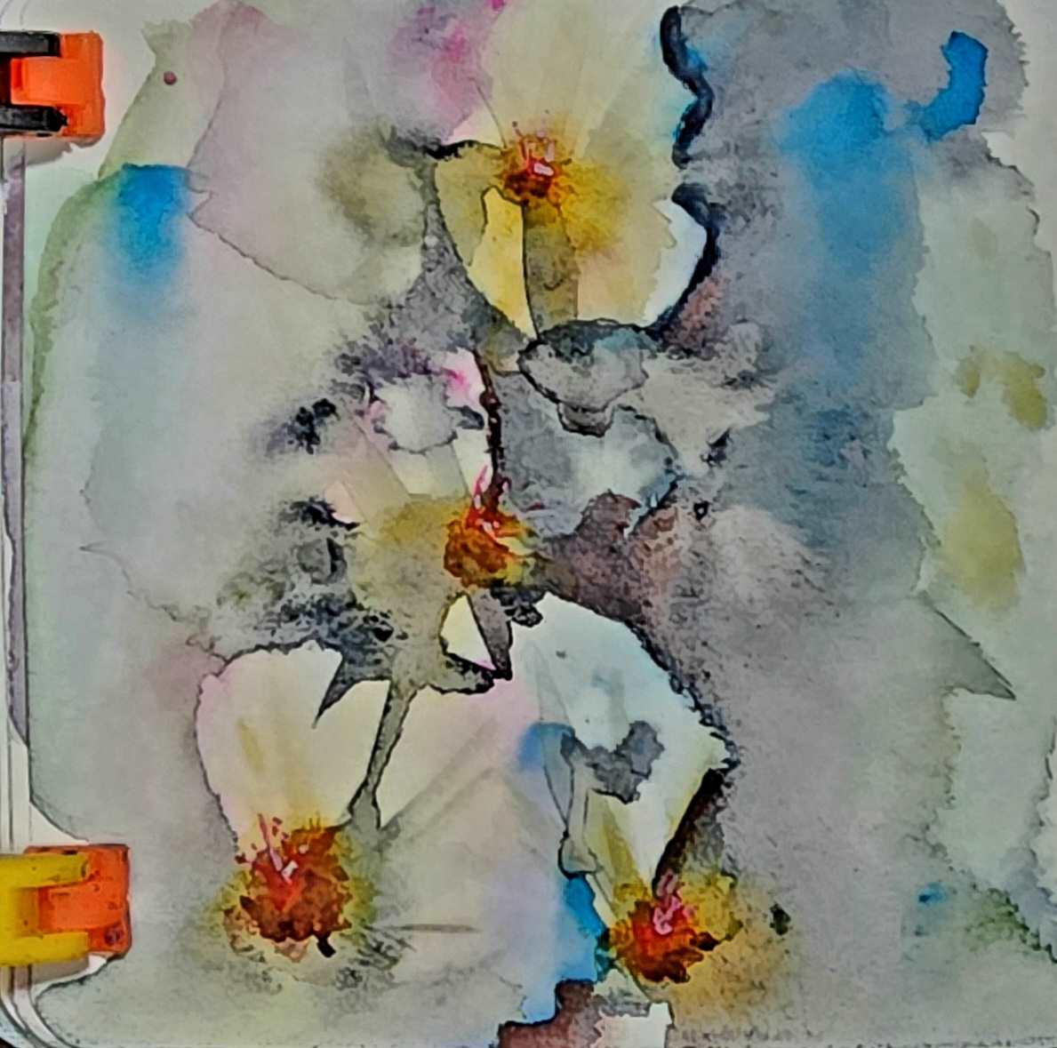 flower by Jon Cooper 