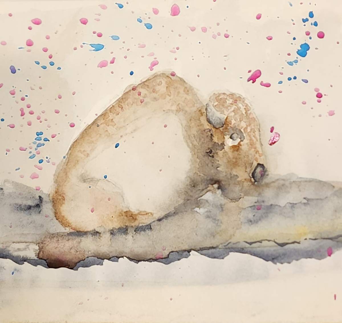 Winter buffalo by Jon Cooper 