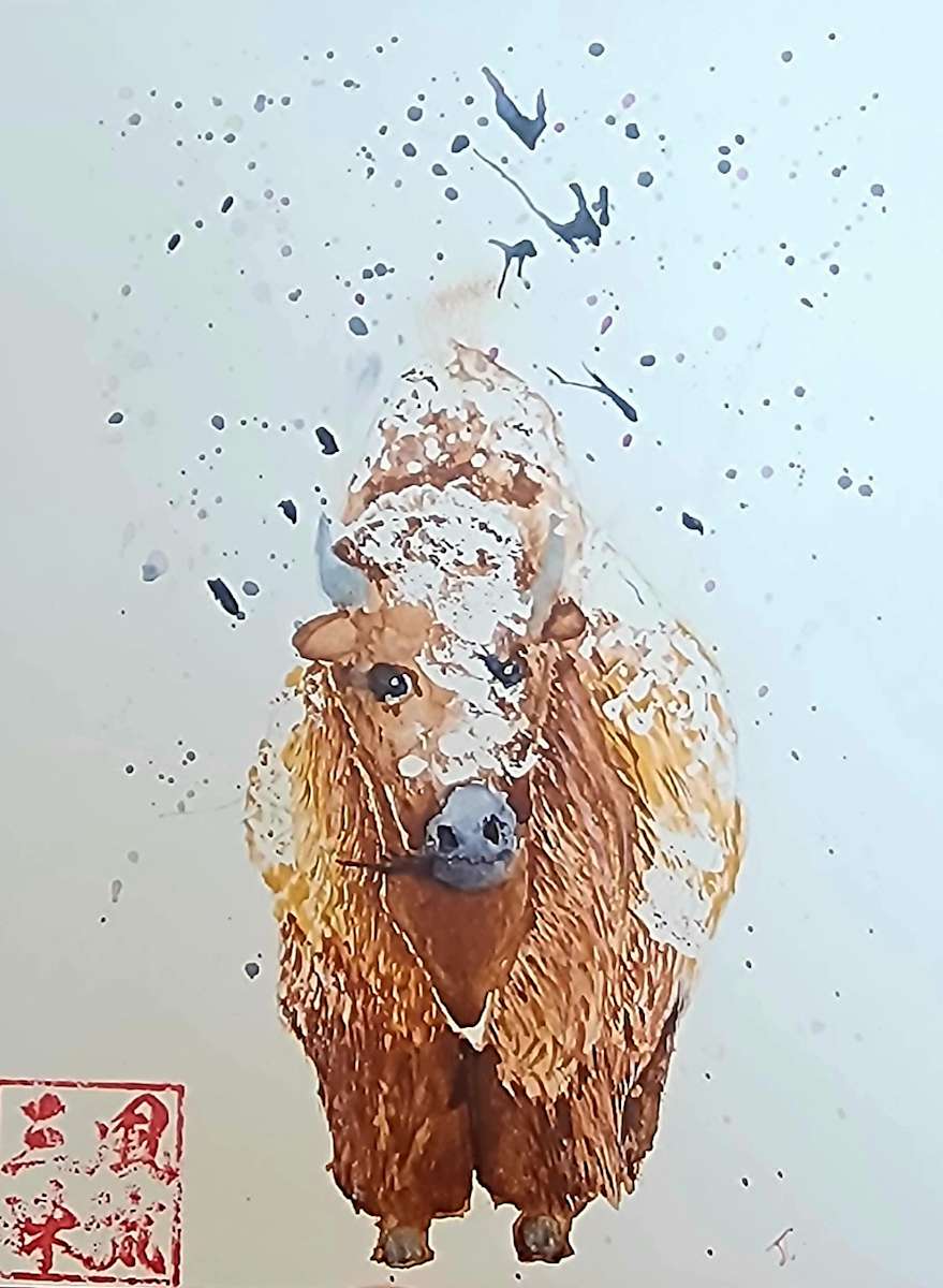 Winter buffalo 2 by Jon Cooper 