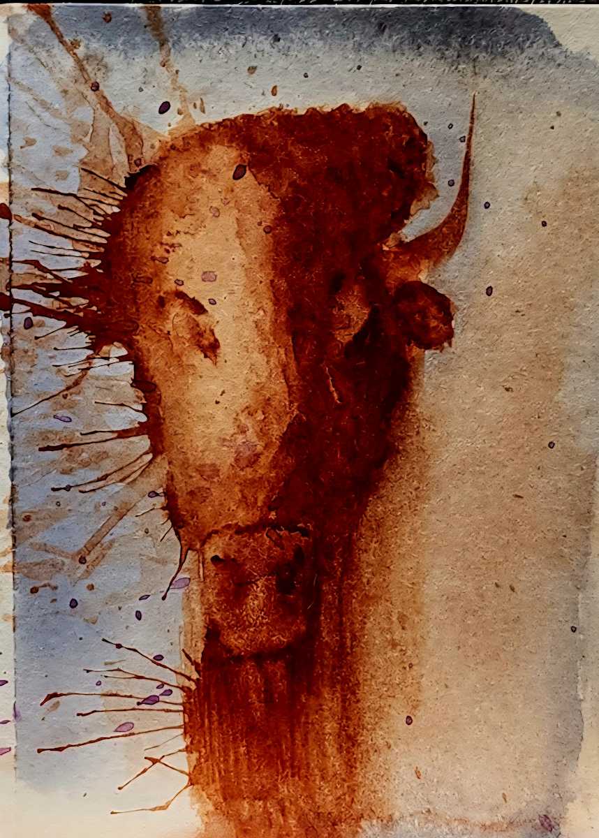 Wyoming buffalo by Jon Cooper 