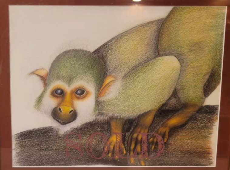Squirrel monkey by Jon Cooper 