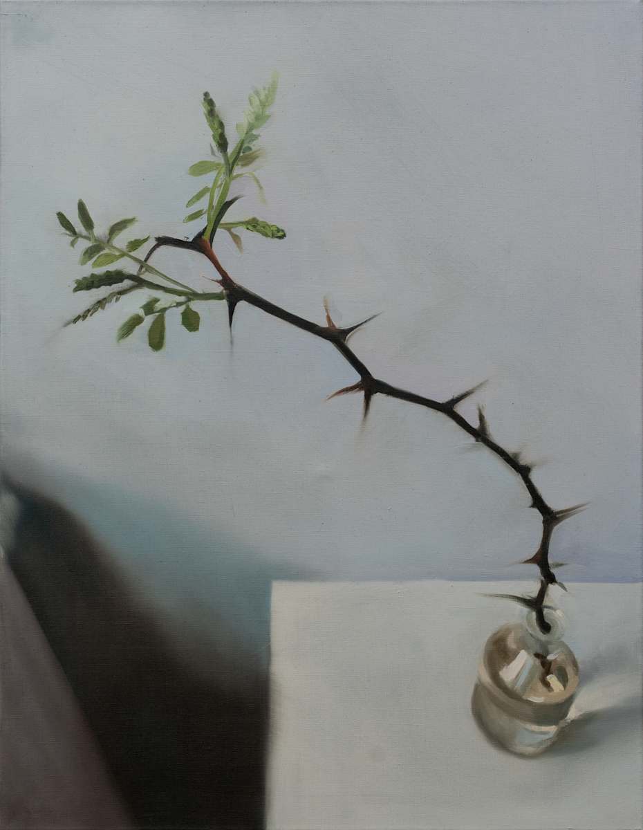 Thorny Branch by Alexander Grimm  Image: Front view
