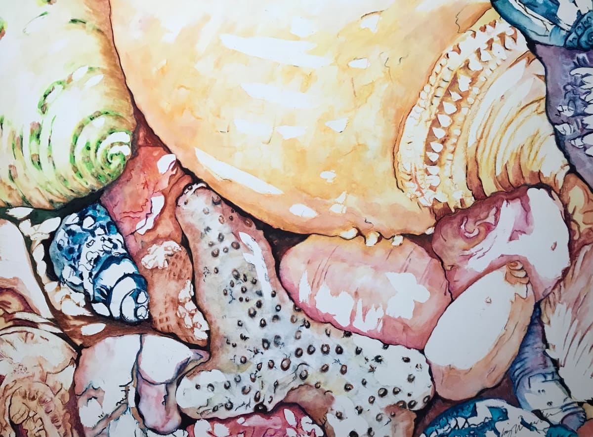 Seashells No. 2 by Liz Morton 