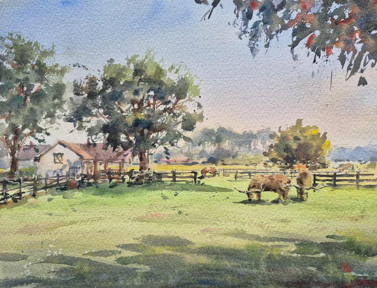 Longhorns by Vicky Zhou 