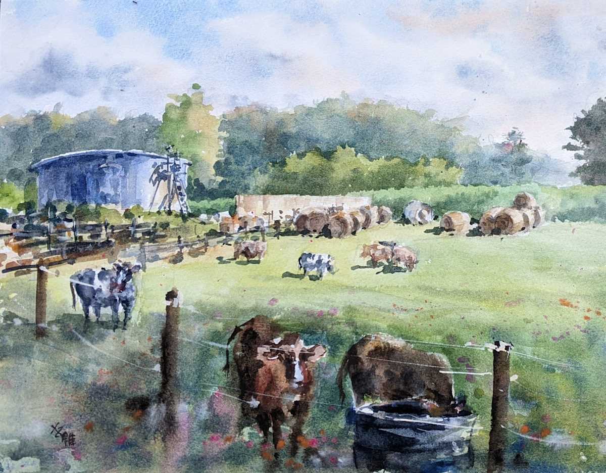 Hot Summer Day by Vicky Zhou 