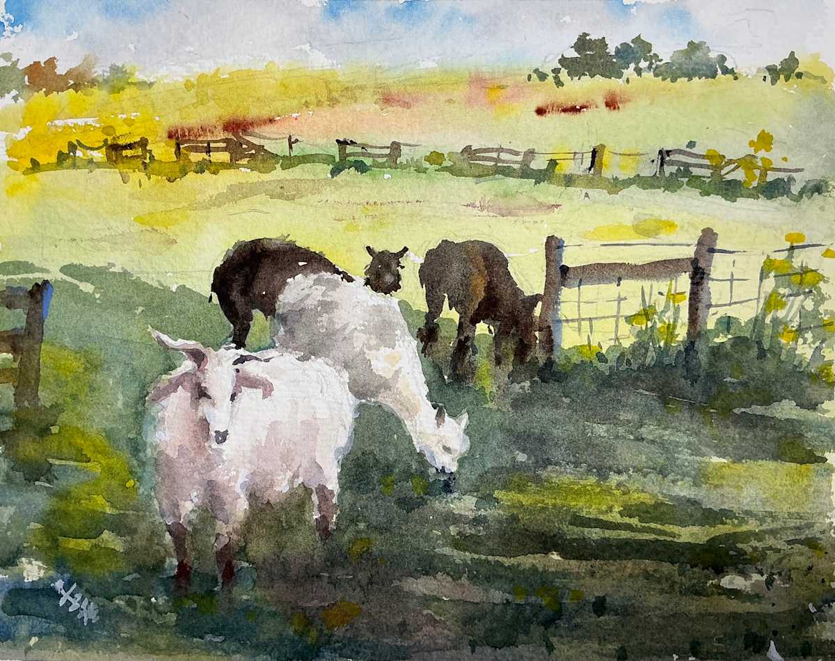 Light and Dark by Vicky Zhou 