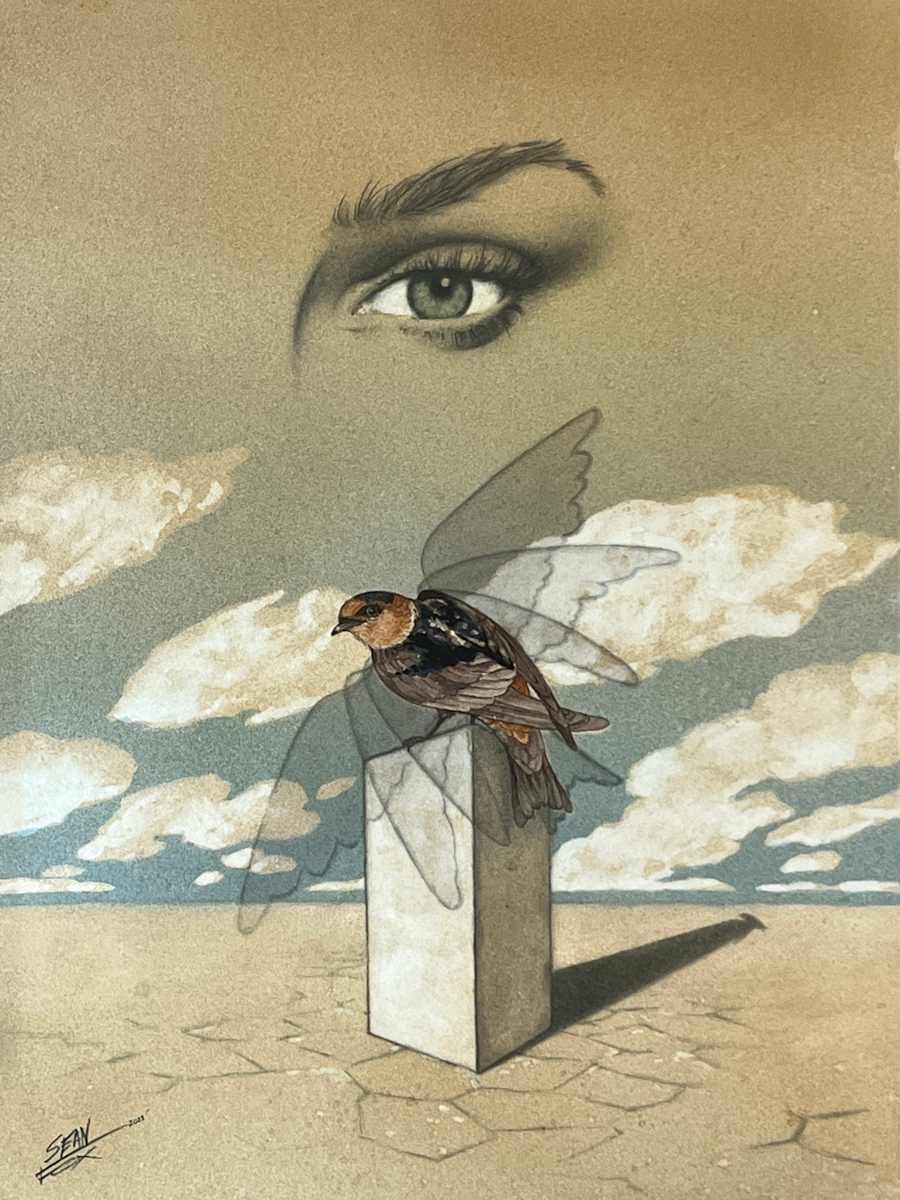 Eye on the Sparrow #2 by Sean Fox  Image: Sean Fox, Eye on the Sparrow #2