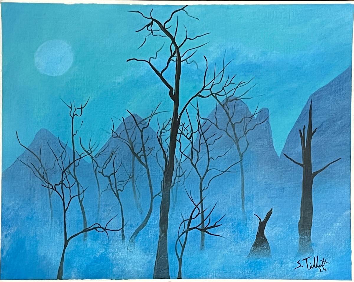 Foggy Bottom by Selvyn Tillett, Image 1.