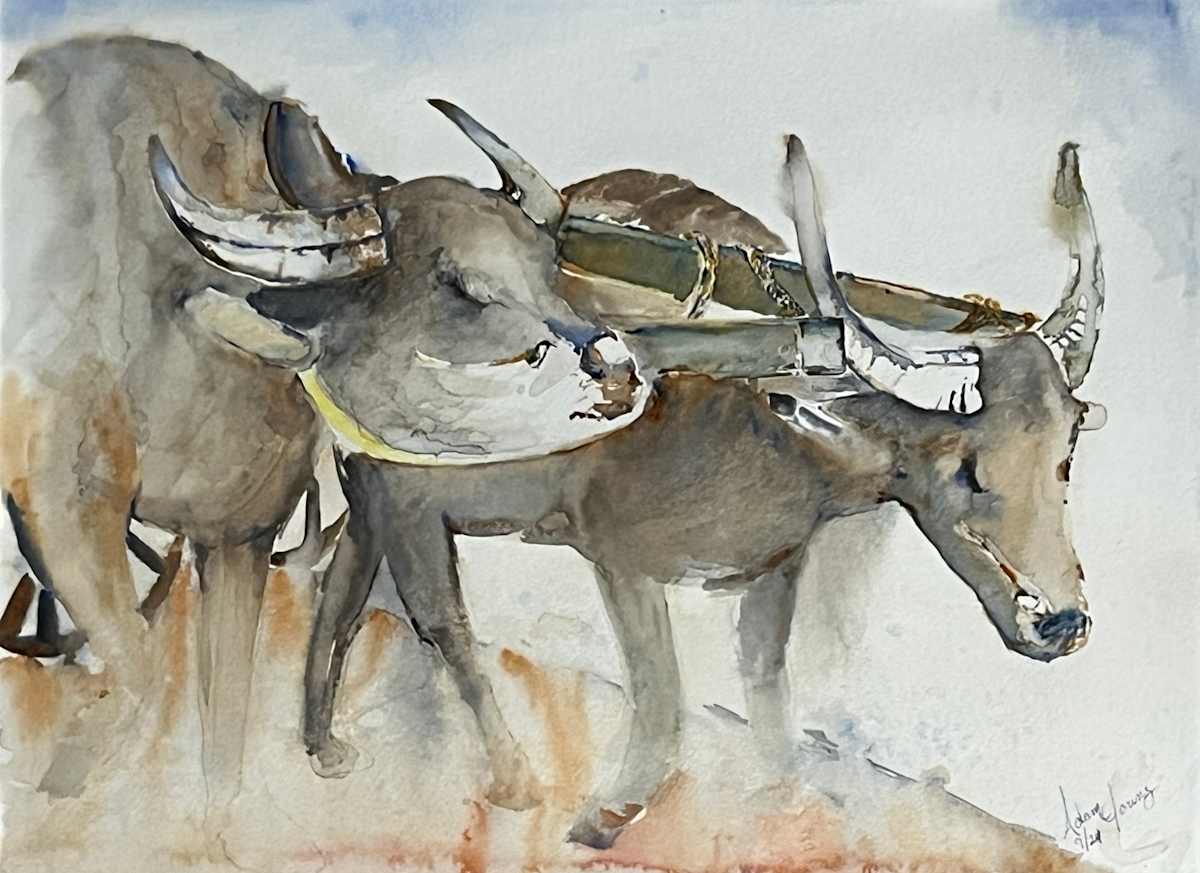 Strength by Adam Young, Image 1.