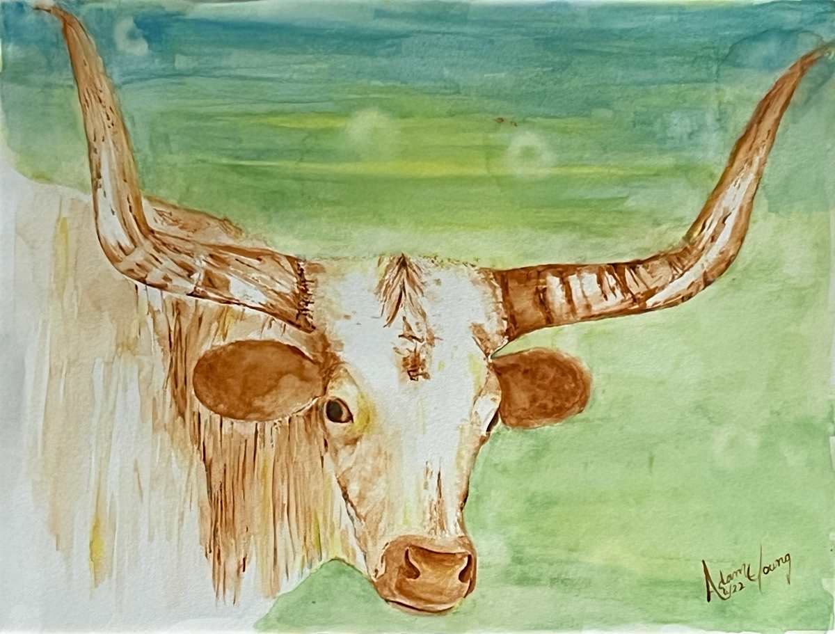 Longhorn by Adam Young  Image: Longhorn, Adam Young