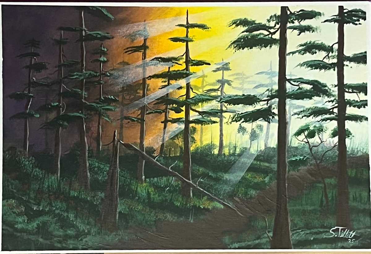 Pathways by Selvyn Tillett  Image: Selvyn Tillett, Pathways