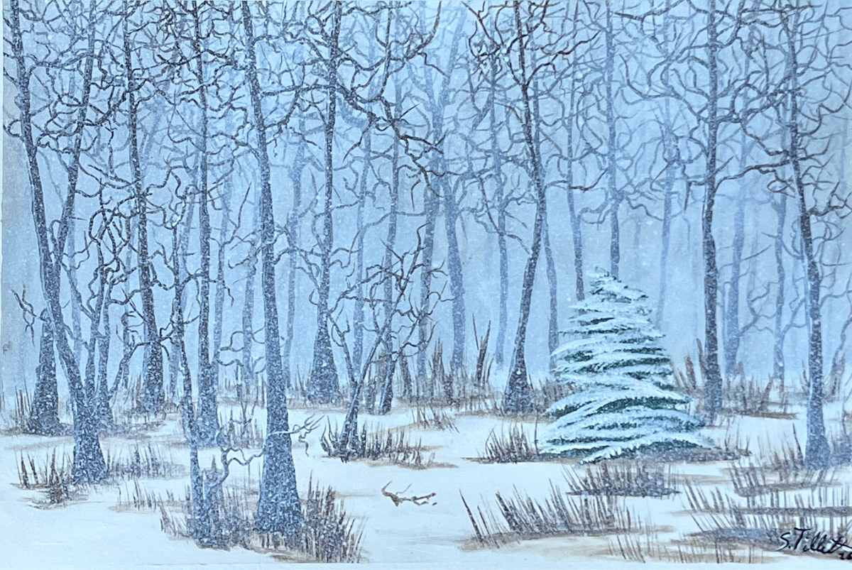 Patience II by Selvyn Tillett, Image 1.