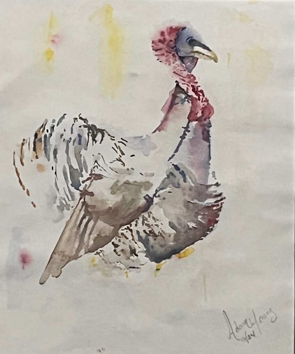 Turkey by Adam Young, Image 1.
