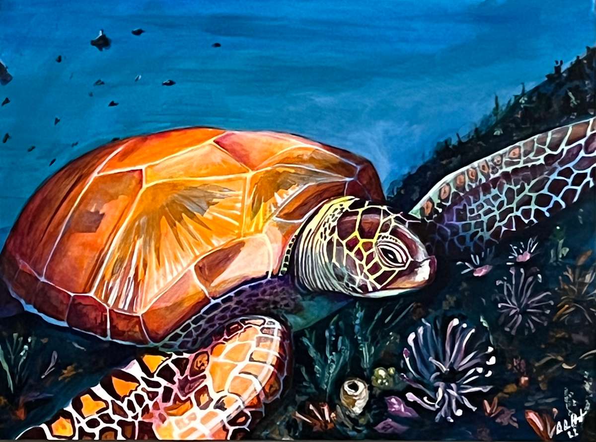 Turtle by Brian Hindson  Image: Turtle, Brian Hindson