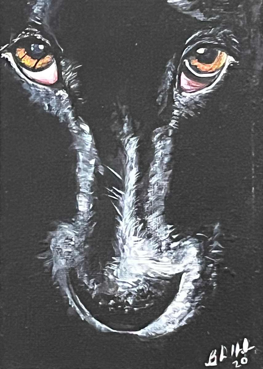 Wolf by Brian Hindson, Image 1.