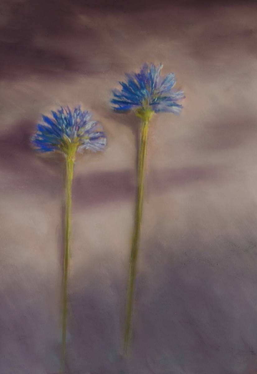 Blue Flowers by Shelley Loring 