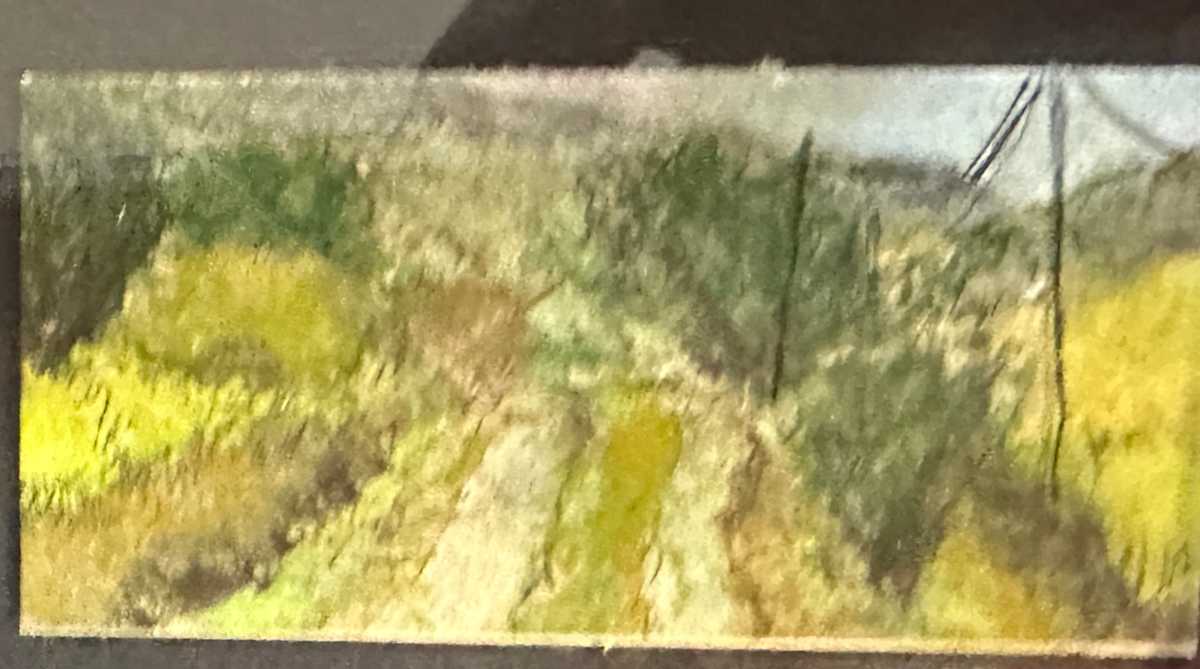 Back Road by Shelley Loring 