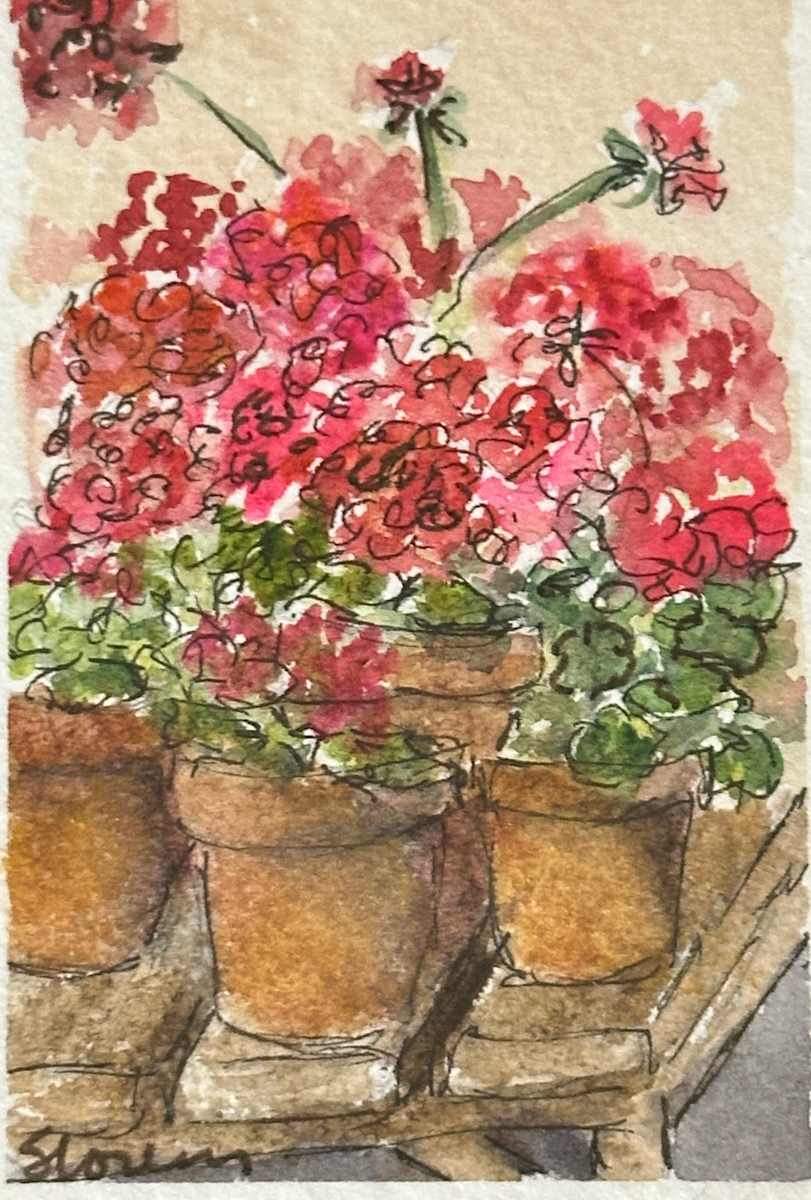 Garden Bench by Shelley Loring 