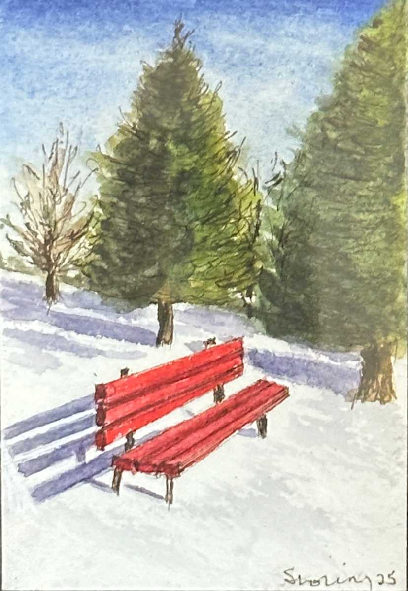 Shirley’s Bench by Shelley Loring 
