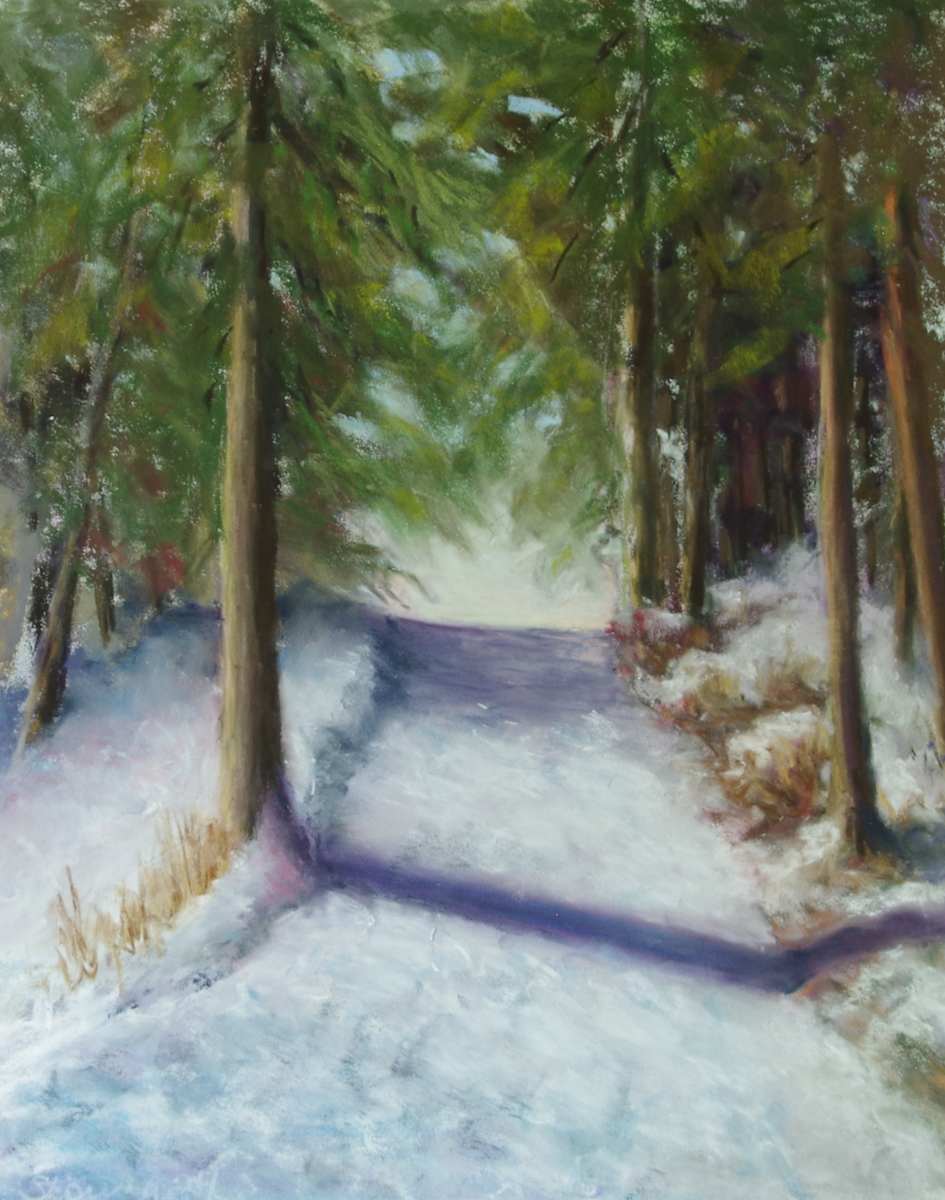 Winter Path by Shelley Loring 