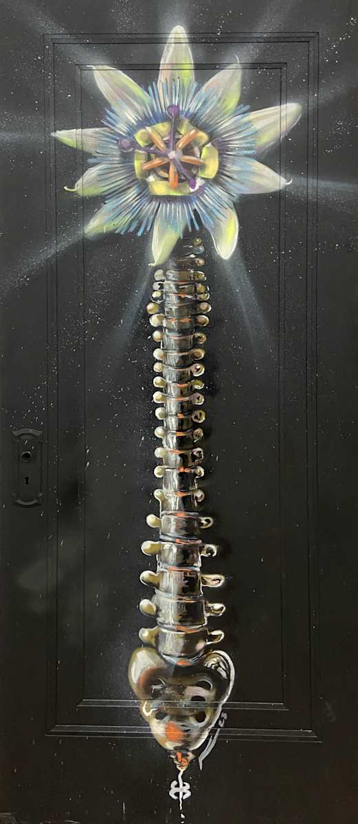 Paraguay - Doors to Mi Barrio by Ariel Vergez 