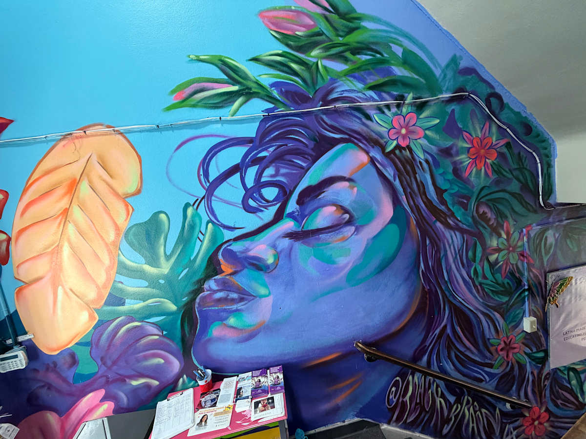 Mural in Entryway (Untitled) by Ariel Vergez, Image 1.