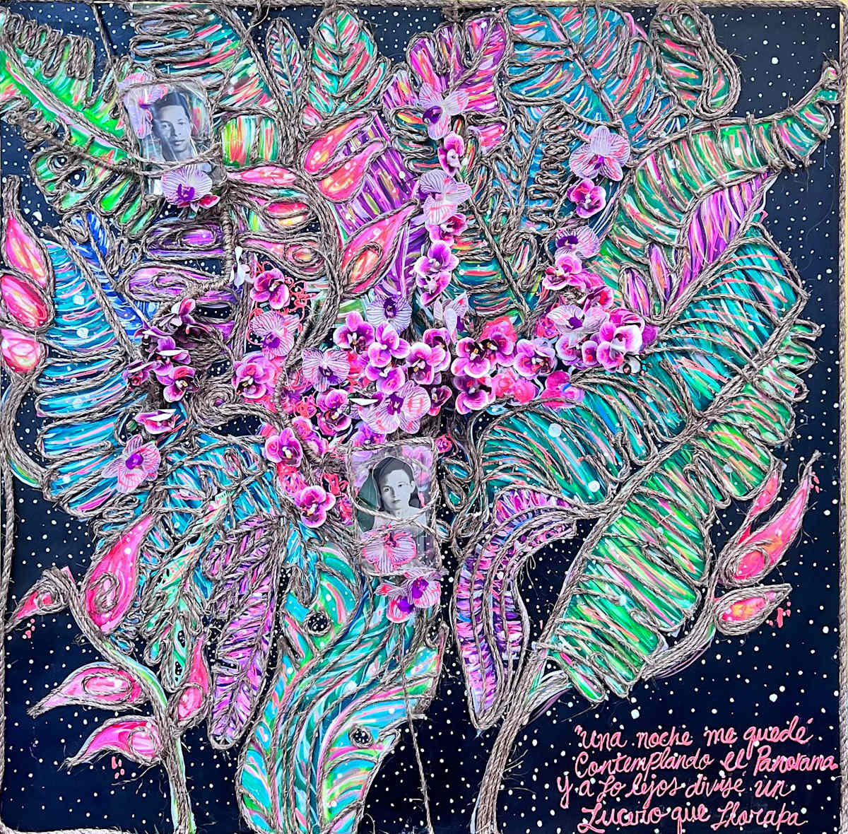 Orchids by Nathalie Pineda Bermudez 