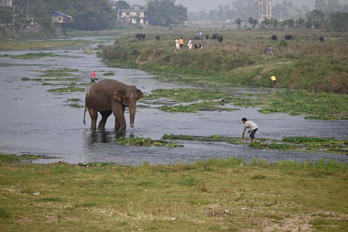 Life in Chitwan, Nepal by Kaylynn Berrios 