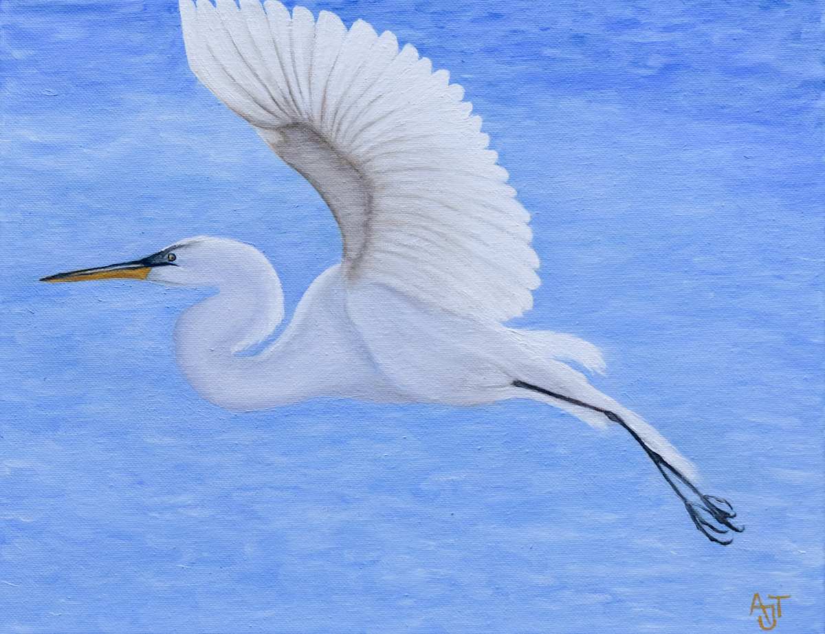 Flying Egret by Ann Travis 