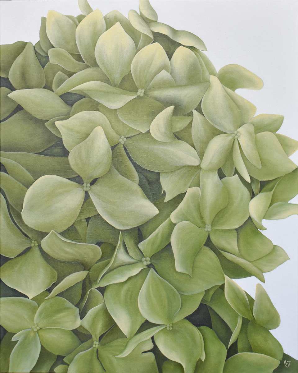 Green Hydrangea by Ann Travis 